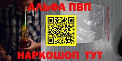 шишки Заволжье