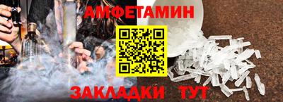 шишки Заволжье